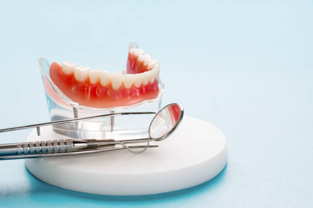 Best Preventive Dentistry  in South Russell, OH